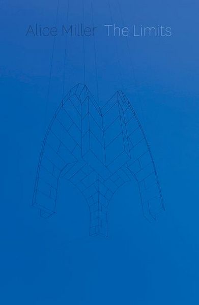 Produktbild: Miller, A: Limits