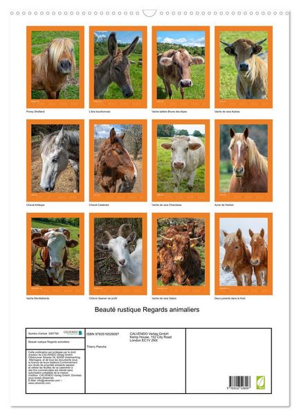 Produktbild: Beaut&eacute; rustique Regards animaliers (Calendrier mural 2026 DIN A2 horizontal), CALVENDO calendrier mensuel