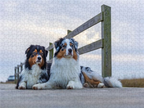 Produktbild: CALVENDO Puzzle Auf dem Holzsteg 1000 Teile Lege-Gr&ouml;&szlig;e 640 x 480 cm Foto-Puzzle Bild von Annett Mirsberger