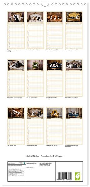 Produktbild: Familienplaner 2026 - Kleine K&ouml;nige - Franz&ouml;sische Bulldoggen mit 5 Spalten (Wandkalender, 21 x 45 cm) CALVENDO