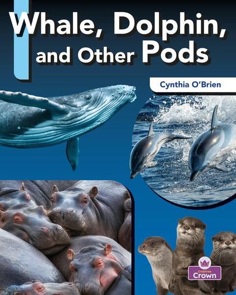 Produktbild: Whale, Dolphin, and Other Pods