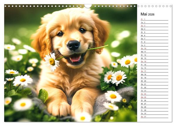 Produktbild: Hundewelpen zum Verlieben - KI Illustrationen (Wandkalender 2026 DIN A3 quer), CALVENDO Monatskalender
