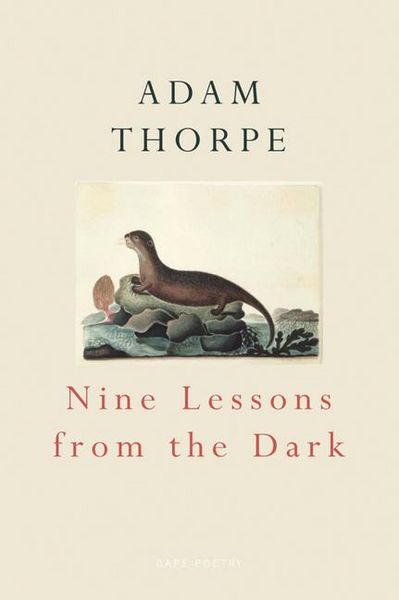 Produktbild: Nine Lessons from the Dark