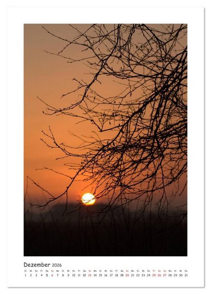Produktbild: Lichtf&auml;nger (Wandkalender 2026 DIN A2 hoch), CALVENDO Monatskalender