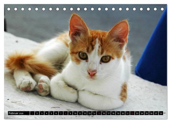 Produktbild: Griechische Katzen (Tischkalender 2026 DIN A5 quer), CALVENDO Monatskalender
