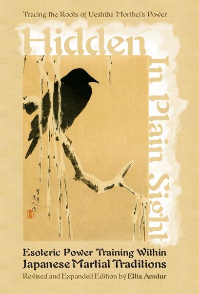 Produktbild: Hidden in Plain Sight