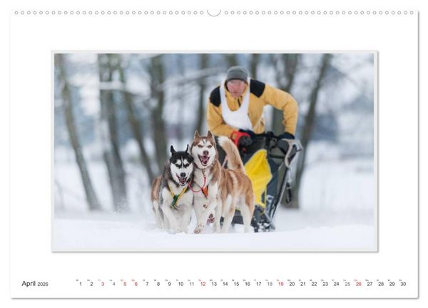 Produktbild: Emotionale Momente: The Art of Huskys. / CH-Version (hochwertiger Premium Wandkalender 2026 DIN A2 quer), Kunstdruck in Hochglanz