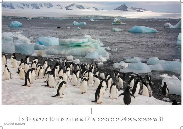 Produktbild: Arctic Landscape Kalender 2027 &ndash; Wandkalender | Fotokalender Naturkalender 24x35cm - 12 faszinierende Fotos von arktische Landschaften | Polarlandschaften