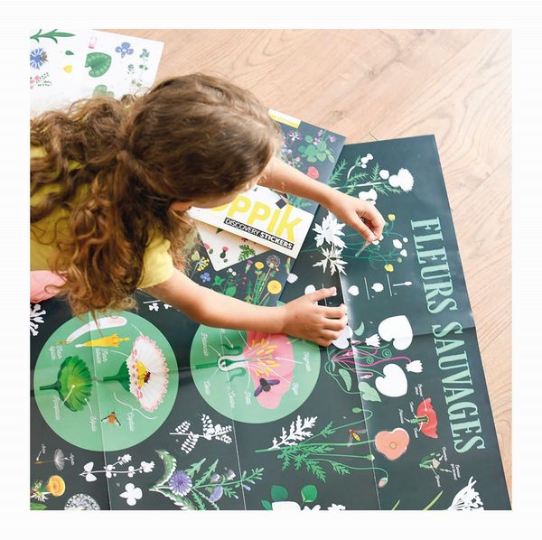 Produktbild: POPPIK - Lernposter & Sticker Botanik