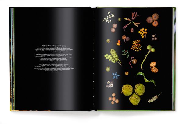 Produktbild: Jungle Spirits