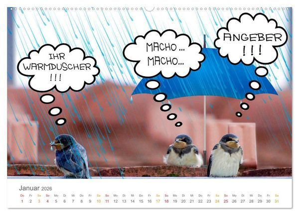 Produktbild: Wenn Schwalben reden (Wandkalender 2026 DIN A2 quer), CALVENDO Monatskalender
