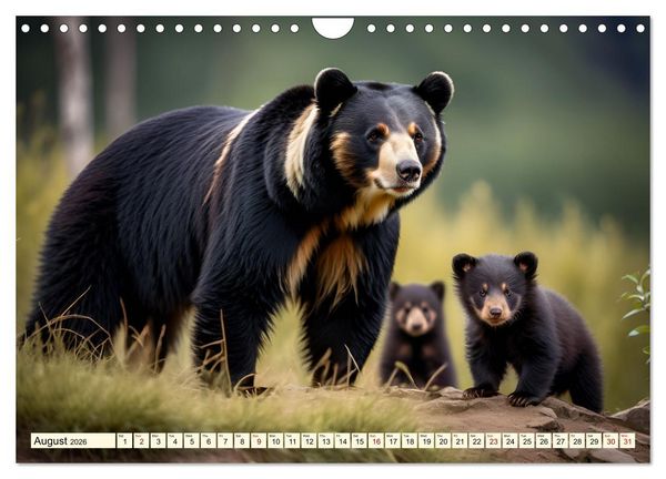 Produktbild: Small and large bears (Wall Calendar 2026 DIN A4 landscape), CALVENDO 12 Month Wall Calendar