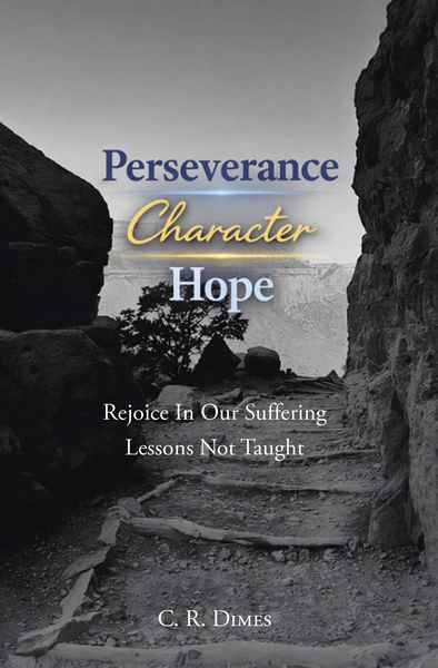 Produktbild: Perseverance, Character, Hope