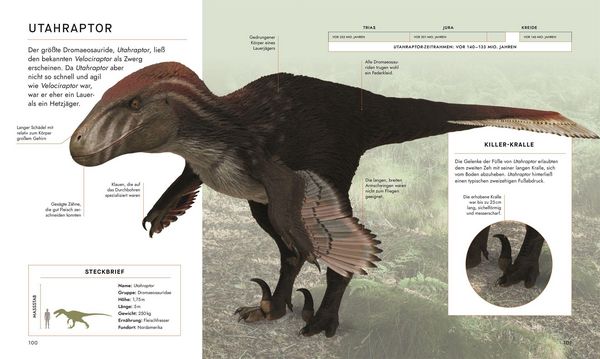 Produktbild: Unter Dinos - Geheimnisse der Urzeit