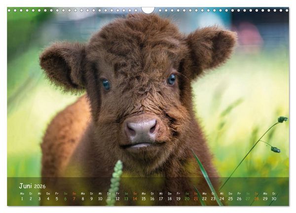 Produktbild: Zauberhaftes Norderstedt (Wandkalender 2026 DIN A3 quer), CALVENDO Monatskalender