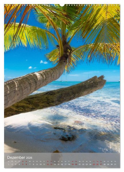 Produktbild: Karibischer Traum Isla Saona (hochwertiger Premium Wandkalender 2026 DIN A2 hoch), Kunstdruck in Hochglanz