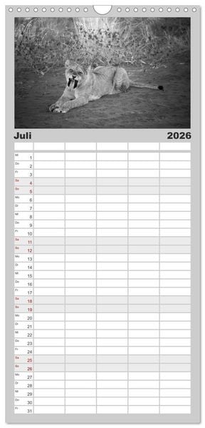 Produktbild: Familienplaner 2026 - L&ouml;wen schwarz wei&szlig; mit 5 Spalten (Wandkalender, 21 x 45 cm) CALVENDO