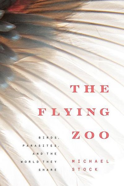 Produktbild: The Flying Zoo