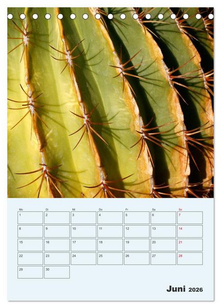 Produktbild: Wehrhafte Sukkulenten (Tischkalender 2026 DIN A5 hoch), CALVENDO Monatskalender