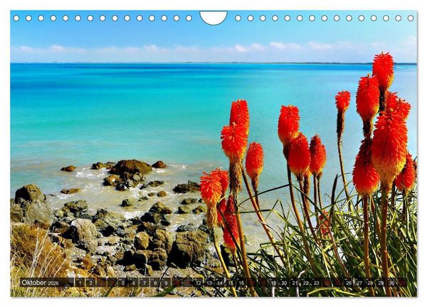 Produktbild: Neuseeland, S&uuml;dpazifische Inseln (Wandkalender 2026 DIN A4 quer), CALVENDO Monatskalender