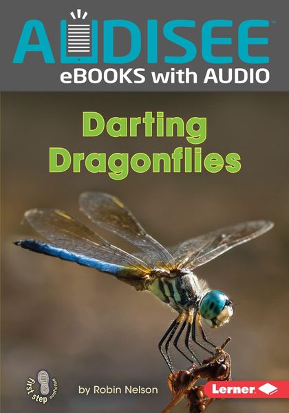 Produktbild: Darting Dragonflies