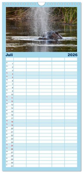 Produktbild: Familienplaner 2026 - Nilpferde, Kolosse in Afrika mit 5 Spalten (Wandkalender, 21 x 45 cm) CALVENDO