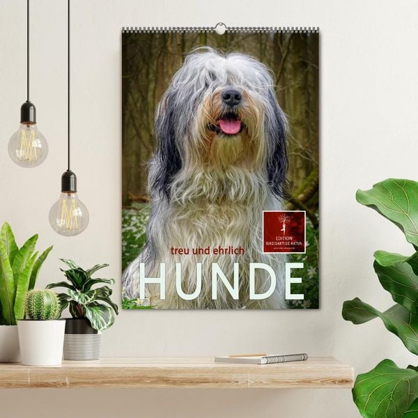 Produktbild: Hunde - treu und ehrlich (Wandkalender 2026 DIN A2 hoch), CALVENDO Monatskalender
