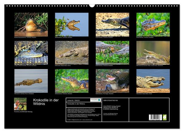 Produktbild: Krokodile in der Wildnis (Wandkalender 2026 DIN A2 quer), CALVENDO Monatskalender