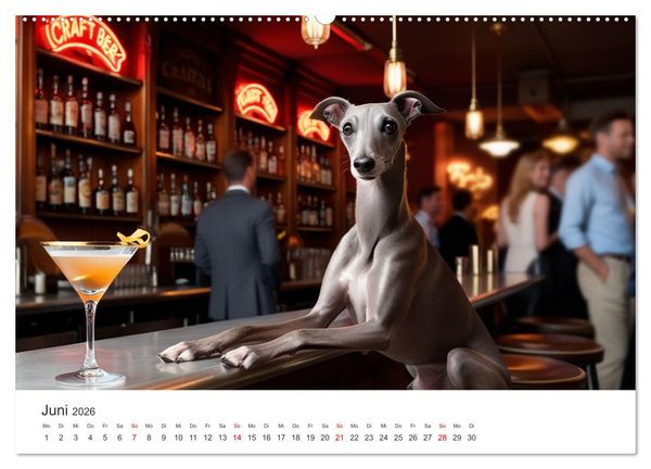 Produktbild: Funny Greyhounds - Windhunde mal anders (Wandkalender 2026 DIN A2 quer), CALVENDO Monatskalender