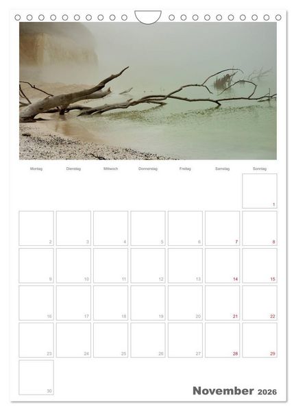Produktbild: Insel R&uuml;gen / Planer (Wandkalender 2026 DIN A4 hoch), CALVENDO Monatskalender