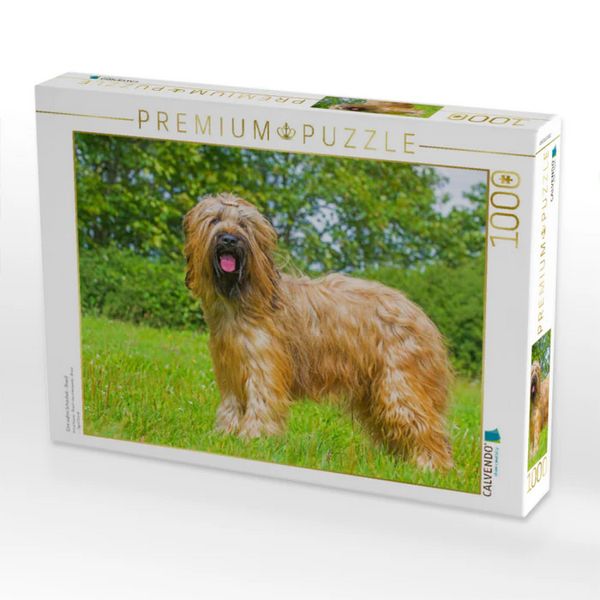 Produktbild: CALVENDO Puzzle Eine wahre Sch&ouml;nheit - Briard | 1000 Teile Lege-Gr&ouml;&szlig;e 64x48cm Foto-Puzzle f&uuml;r gl&uuml;ckliche Stunden
