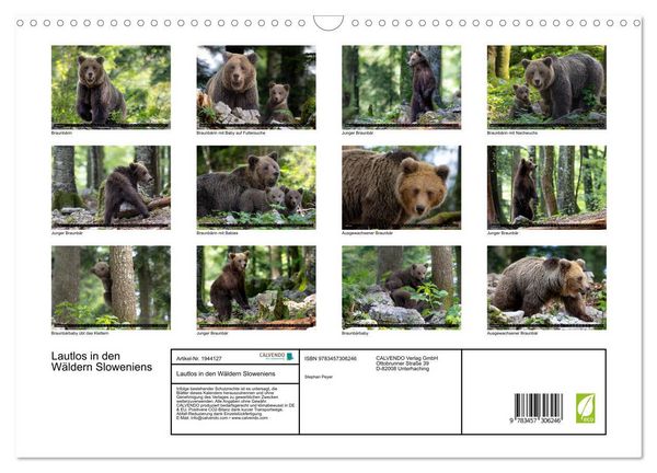 Produktbild: Lautlos in den W&auml;ldern Sloweniens (Wandkalender 2026 DIN A3 quer), CALVENDO Monatskalender