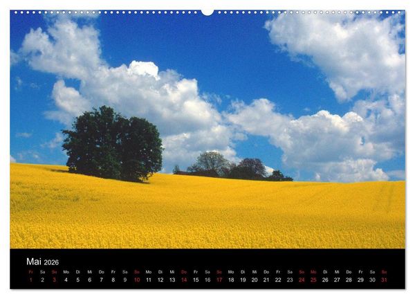 Produktbild: Bayerischer Wald (Wandkalender 2026 DIN A2 quer), CALVENDO Monatskalender