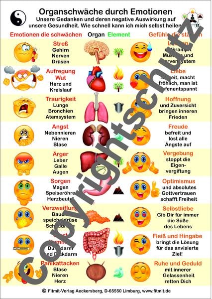 Produktbild: Organschw&auml;che durch Emotionen