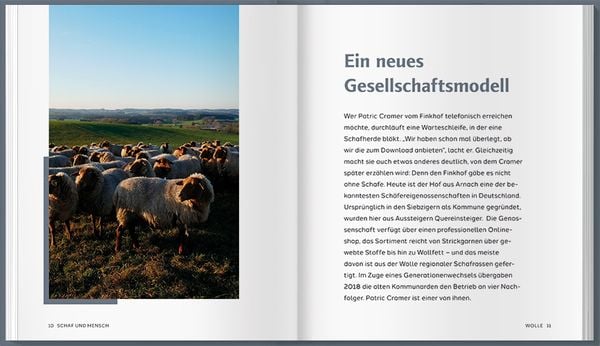 Produktbild: Schaf und Mensch