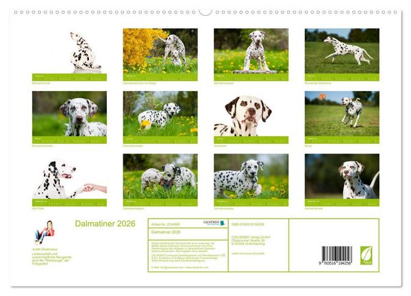 Produktbild: Dalmatiner 2026 (hochwertiger Premium Wandkalender 2026 DIN A2 quer), Kunstdruck in Hochglanz