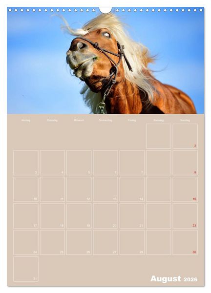 Produktbild: Pferde / Planer (Wandkalender 2026 DIN A3 hoch), CALVENDO Monatskalender