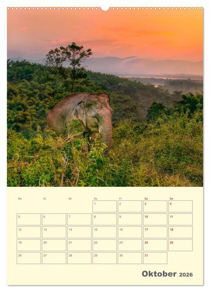 Produktbild: S&Uuml;DOSTASIEN - Mein URLAUBSPLANER (Wandkalender 2026 DIN A2 hoch), CALVENDO Monatskalender