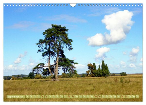 Produktbild: Uruguay - Land of the gauchos (Wall Calendar 2026 DIN A3 landscape), CALVENDO 12 Month Wall Calendar