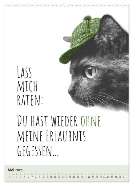 Produktbild: Katzenkult - Coolness auf vier Pfoten (Wandkalender 2026 DIN A2 hoch), CALVENDO Monatskalender