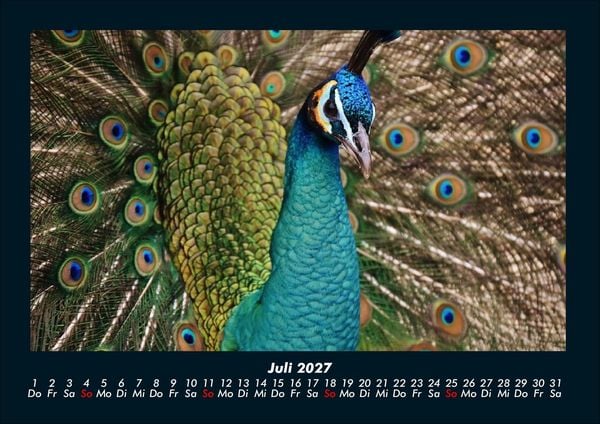 Produktbild: Welt der V&ouml;gel 2027 Fotokalender DIN A4
