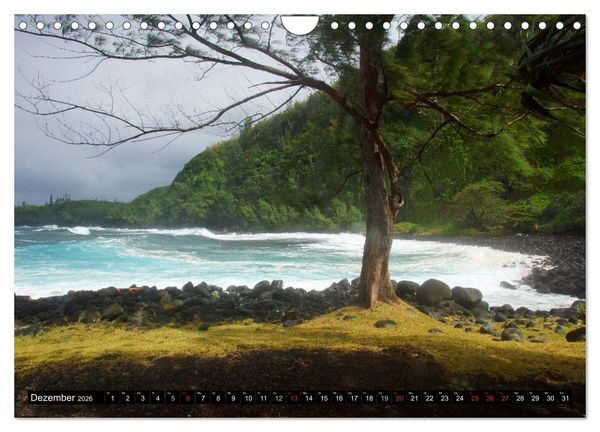 Produktbild: La R&eacute;union - Paradies im indischen Ozean (Wandkalender 2026 DIN A4 quer), CALVENDO Monatskalender