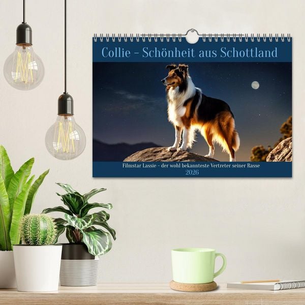 Produktbild: Traumhund Collie (Wandkalender 2026 DIN A4 quer), CALVENDO Monatskalender