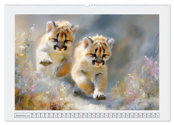 Produktbild: Pumababys. Verspielte Bergl&ouml;wenkinder in der Natur (hochwertiger Premium Wandkalender 2027 DIN A2 quer), Kunstdruck in Hochglanz