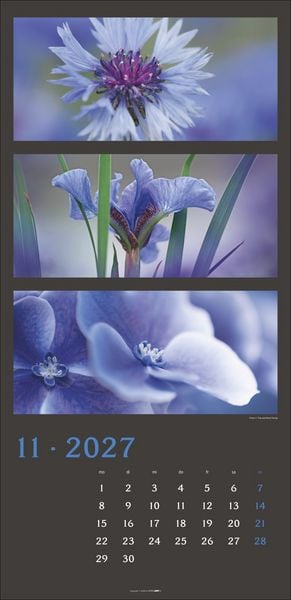 Produktbild: Die Farben der Natur Kalender 2027