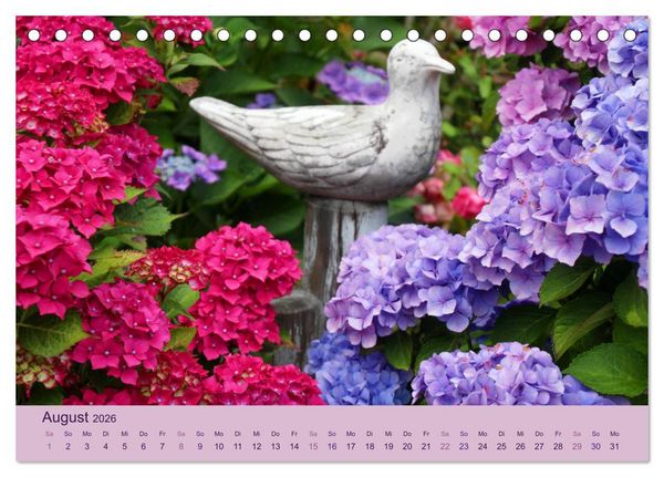 Produktbild: Hortensien 2026. Farbenpr&auml;chtige Impressionen aus dem Garten (Tischkalender 2026 DIN A5 quer), CALVENDO Monatskalender