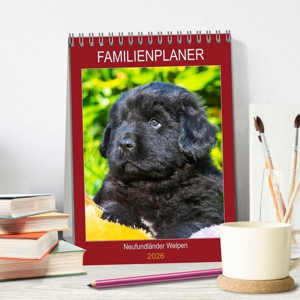 Produktbild: Familienplaner Neufundl&auml;nder Welpen (Tischkalender 2026 DIN A5 hoch), CALVENDO Monatskalender