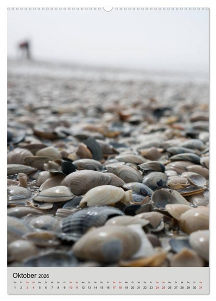 Produktbild: Ameland Wundersch&ouml;ne Insel (hochwertiger Premium Wandkalender 2026 DIN A2 hoch), Kunstdruck in Hochglanz