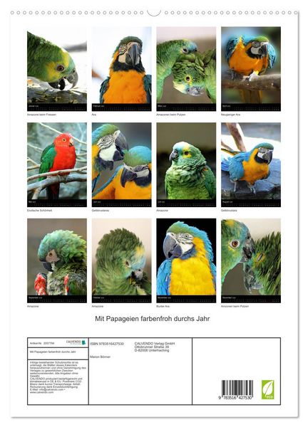 Produktbild: Mit Papageien farbenfroh durchs Jahr (hochwertiger Premium Wandkalender 2026 DIN A2 hoch), Kunstdruck in Hochglanz