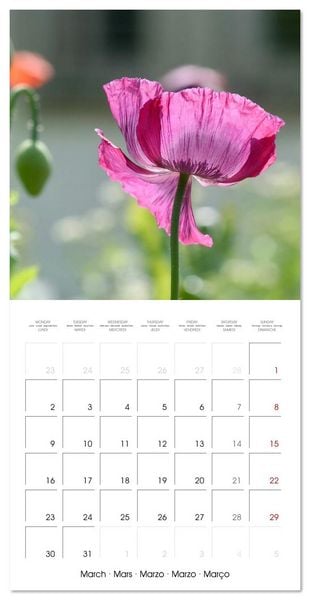 Produktbild: ENCHANTING FLOWERS (Wall Calendar 2026 12 &times; 12 Inch) CALVENDO 12 Month Wall Calendar
